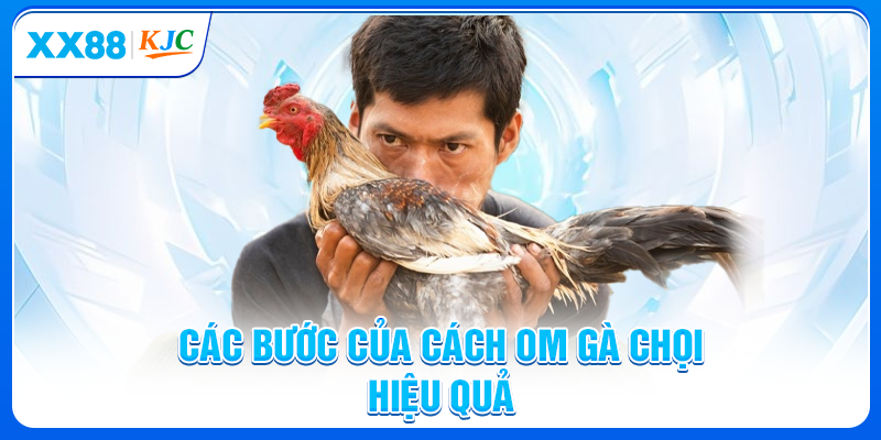 Cách om gà chọi là gì và tại sao quan trọng?
