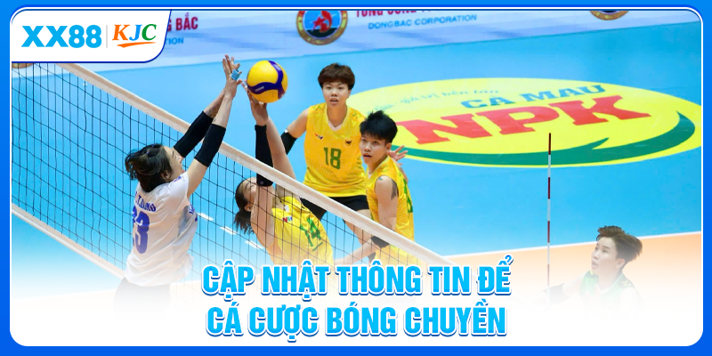Cập nhật thông tin để cá cược bóng chuyền