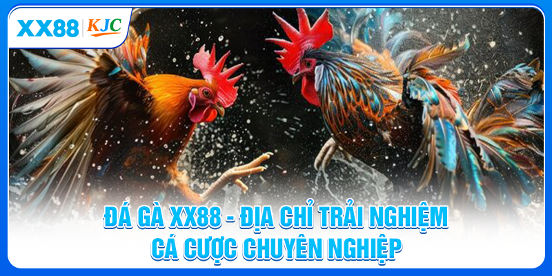 Đá Gà XX88 - Địa Chỉ Trải Nghiệm Cá Cược Chuyên Nghiệp