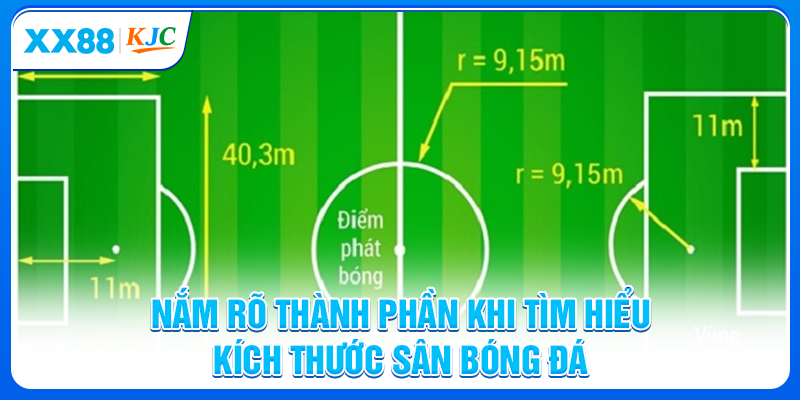Nắm rõ thành phần khi tìm hiểu kích thước sân bóng đá